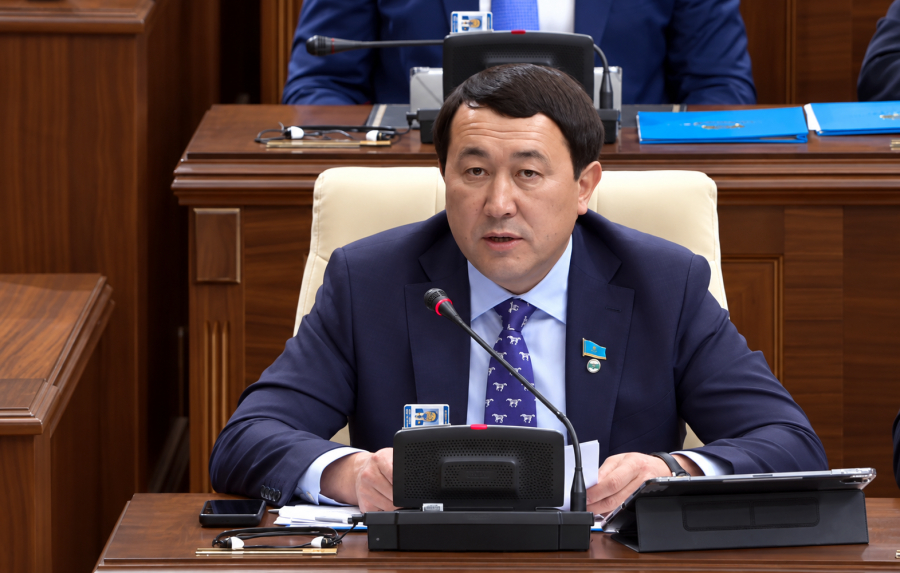 Единую ставку налога для малого и среднего бизнеса предложили в Казахстане