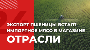 Проблемы сельского хозяйства в Казахстане | Отрасли