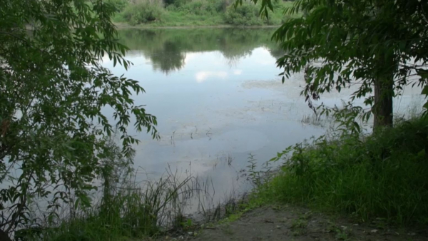 Елде орман өрті азайды