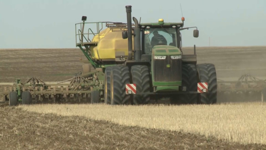 Ақмола облысының шаруалары 5 млн 400 мың гектар жерге дән екпек