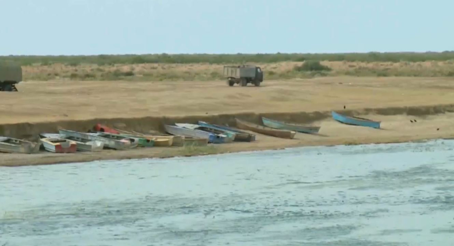 Оңтүстік Арал сексеуіл алқабына айналады