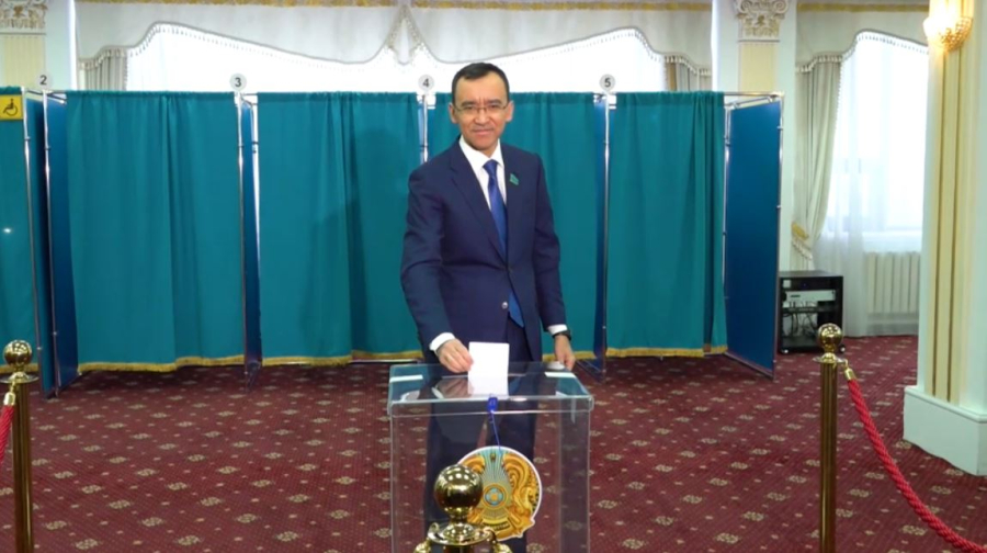 Председатель Сената Парламента проголосовал на референдуме