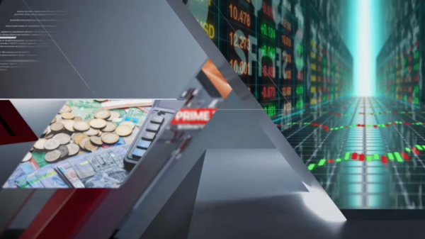 Жылқы тұқымын асылдандыру керек