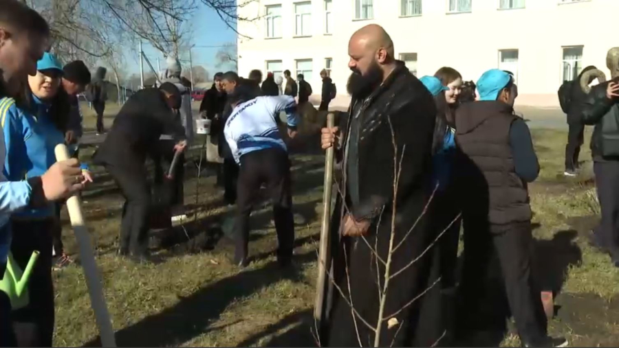 Ақмола облысында экоакцияда 80 түп ағаш егілді