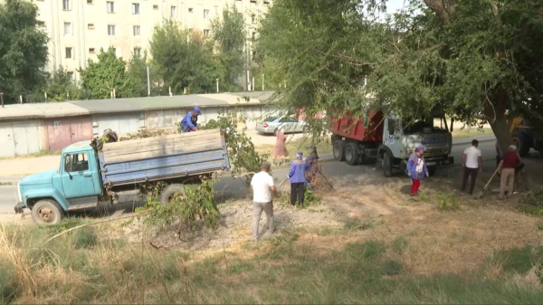 Шымкентте тұрғын үй секторының аумағы тазартылды