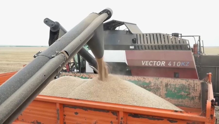 БҚО-да астықтың 45% қамбаға құйылды