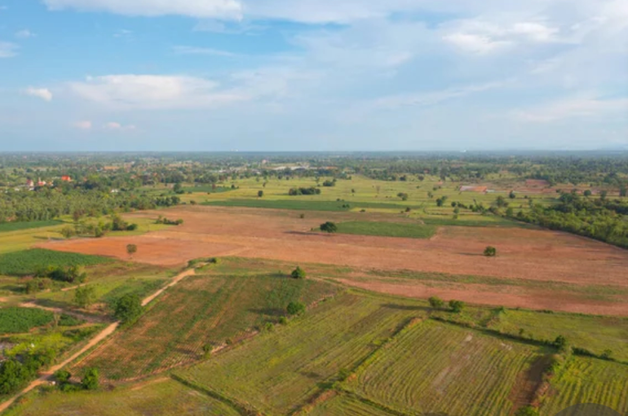 Почти 3000 га сельхозземель возвращены в госсобственность в Туркестанской области