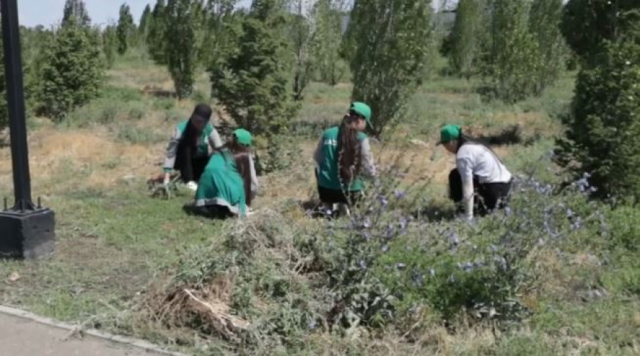 Акцию «Таза Қазақстан» провели в области Ұлытау