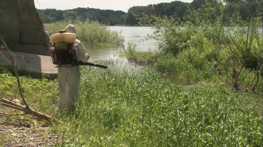 Семейде масамен күрес күшейді