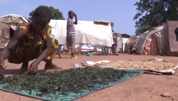 735 млн человек в мире испытывают нехватку продовольствия