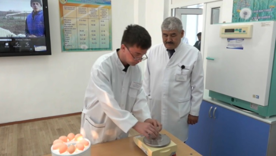 Год рабочих профессий: в СКО увеличили набор в колледжи