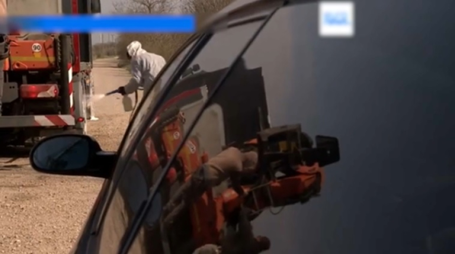 Вспышку ящура зафиксировали в Венгрии