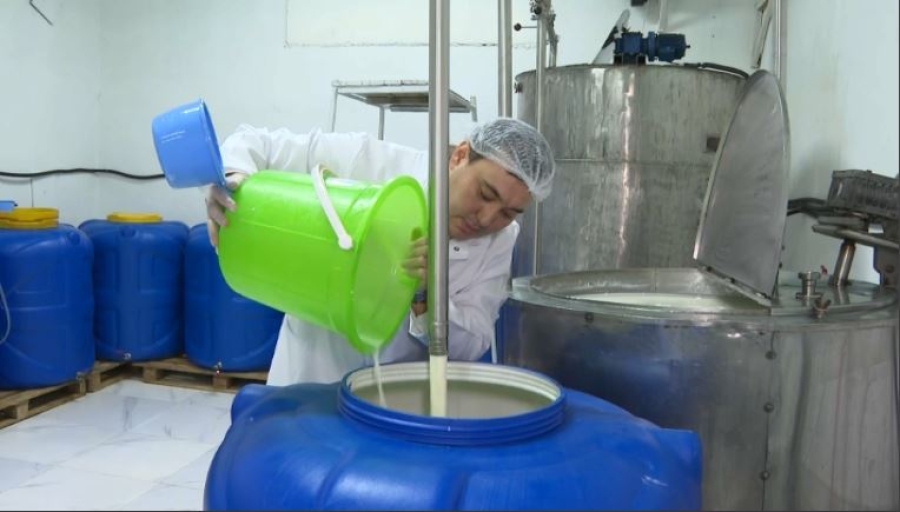 Талдықорғандық кәсіпкер бие мен сиыр сүтінен ерекше сусын жасап шығарды