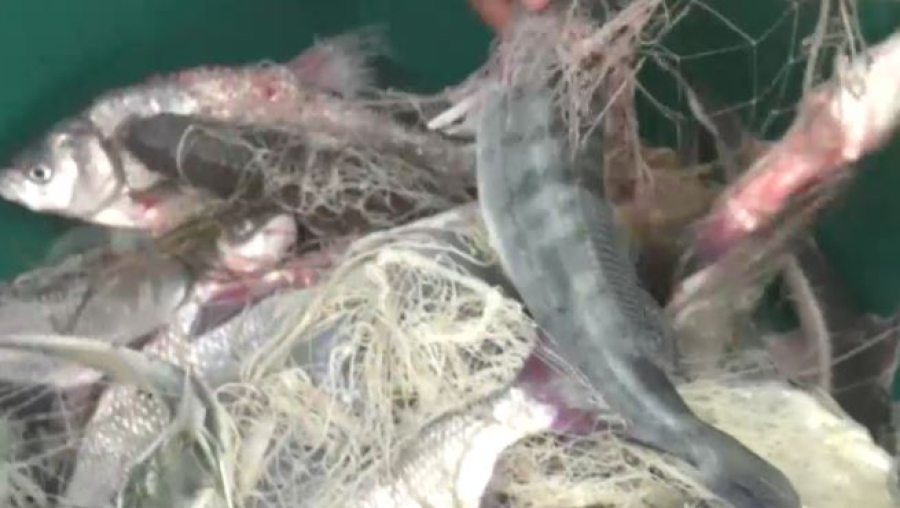 Итоги операции «Бекіре-2025» подвели в Атырау