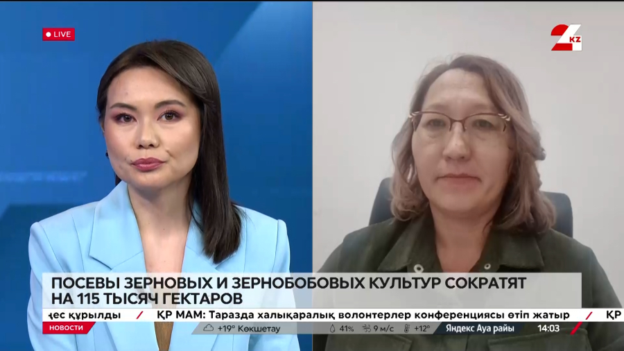 В Казахстане сократят посевы зерновых и зернобобовых культур. Зульфира Баширова