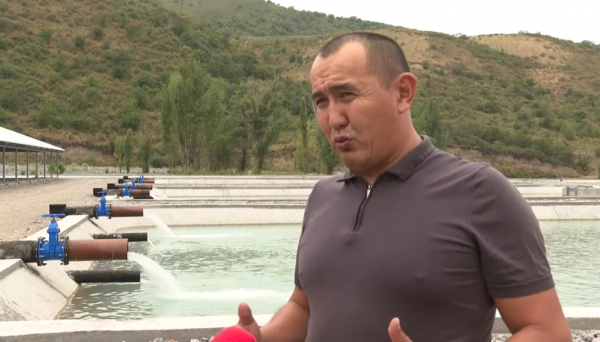 Балық шаруашылығына мемлекет тарапынан нақты қолдау көрсетіле бастады