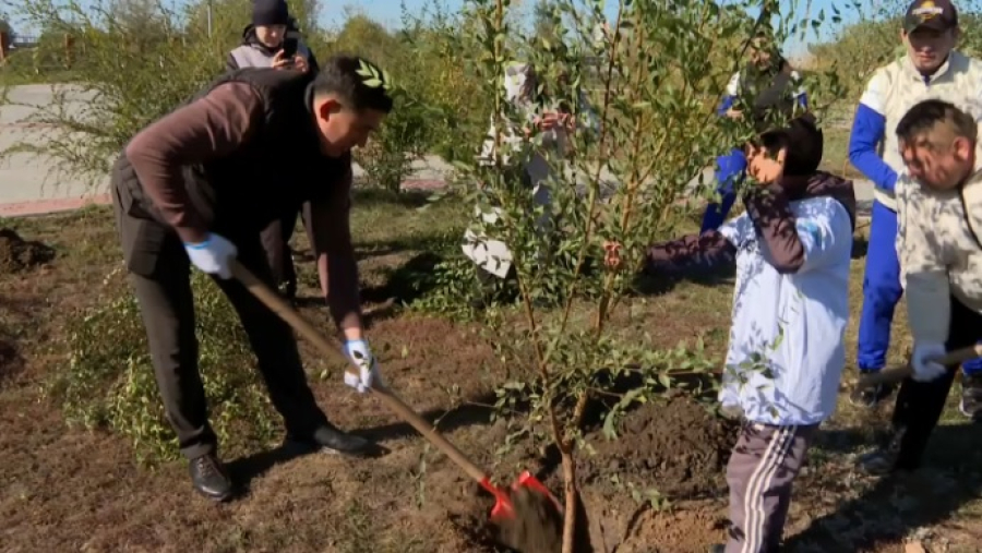 В Шахтинске посадили 200 деревьев в рамках акции «Таза Қазақстан»