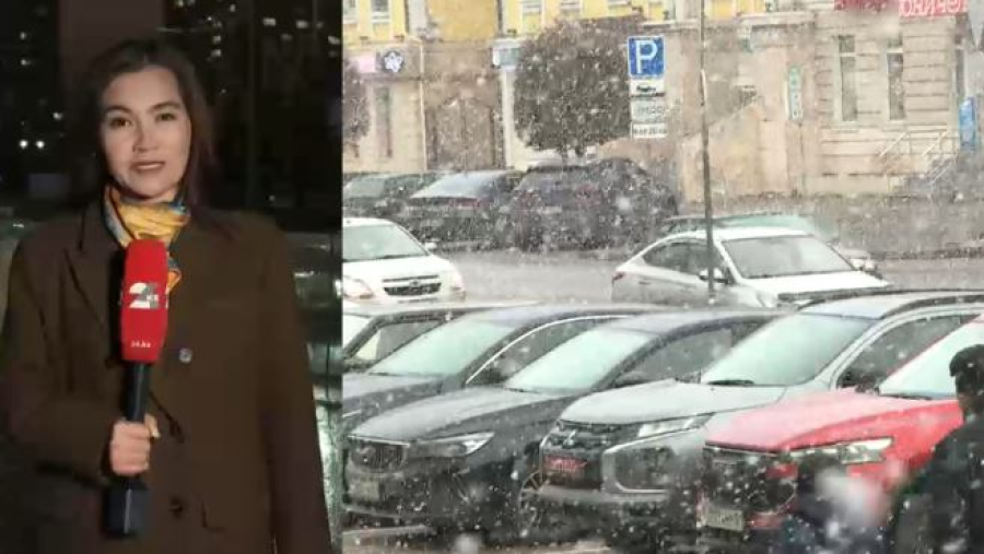 «Казгидромет» предупреждает о мокром снеге и метелях