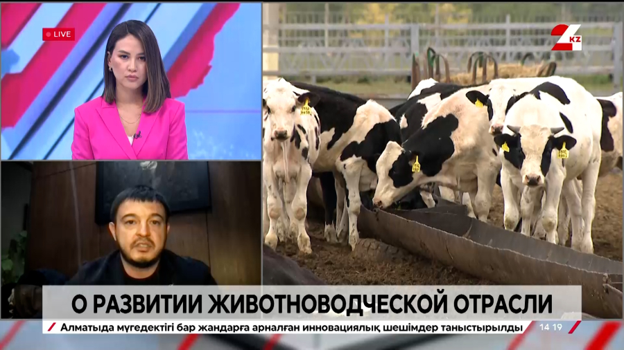 Развитие животноводческой отрасли. Даурен Салыков