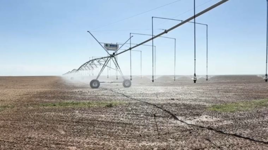 Влагосберегающие технологии расширяют в области Жетісу