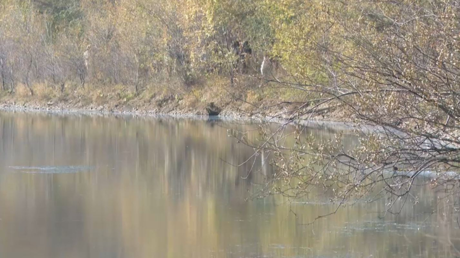 Үлбі өзені қоқыстан тазартылды