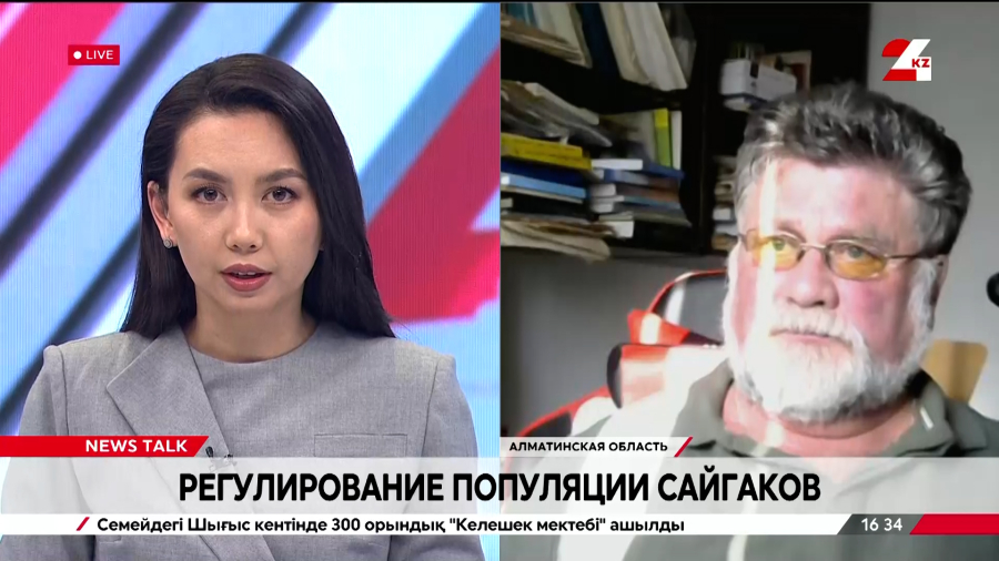 Регулирование популяции сайгаков. Константин Плахов