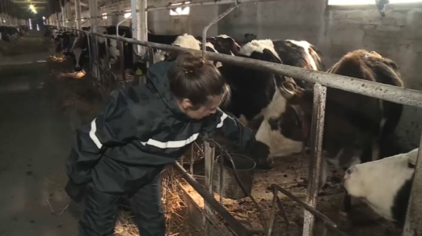 Зарплату ветеринарам ВКО поднимут на 15%