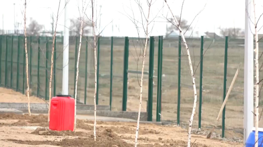 Ұлытау облысында 27 мың ағаш көшеті егіледі