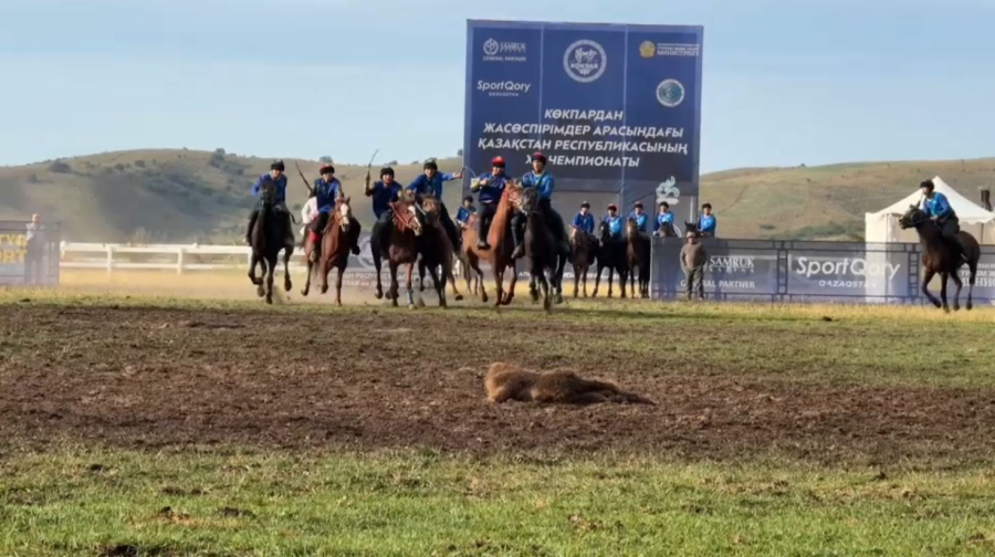 А. Қожаназаров: көкпарға клубтық жүйе енгіземіз