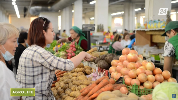 Сезон продажи прошлогоднего урожая: о ситуации на рынке овощей | AgroLife