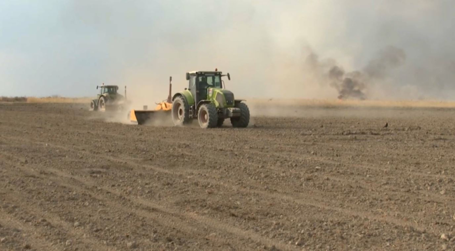 Егін егуді жасанды зерде жоспарлайды