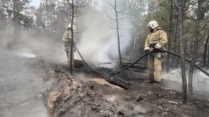 Күзде орман мен дала өртінің қаупі көбеюі мүмкін – Экология министрі