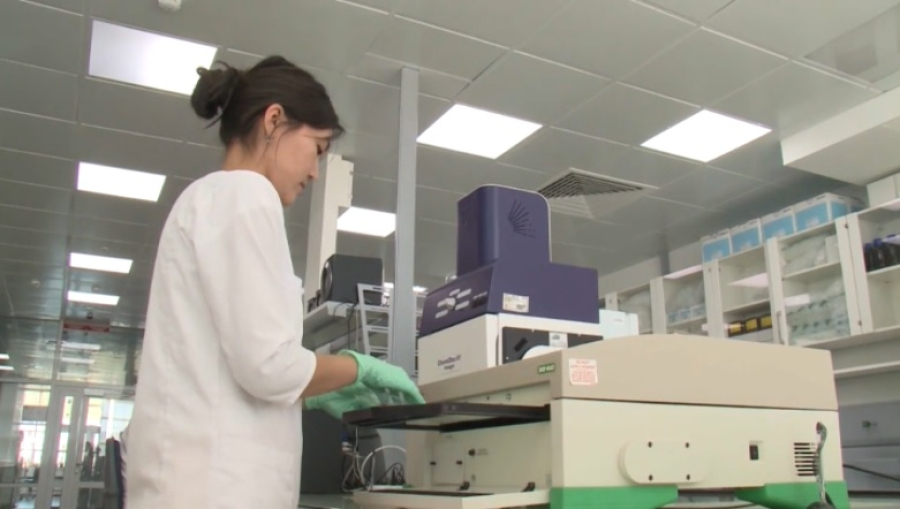 В Казахстане могут разрешить промышленное выращивание конопли