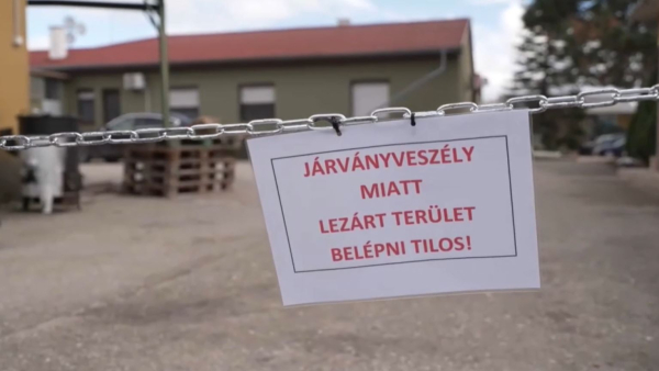 Венгрияда аусыл дерті екінші рет таралып жатыр