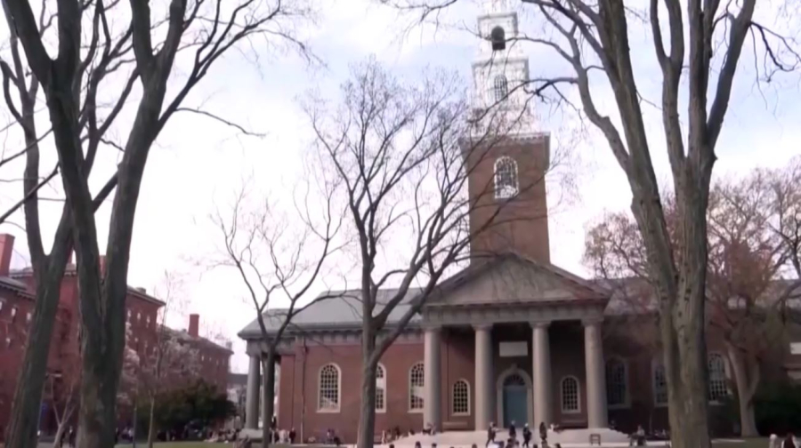 Трамп подписал указ о приостановке студенческих виз для обучения в Гарварде