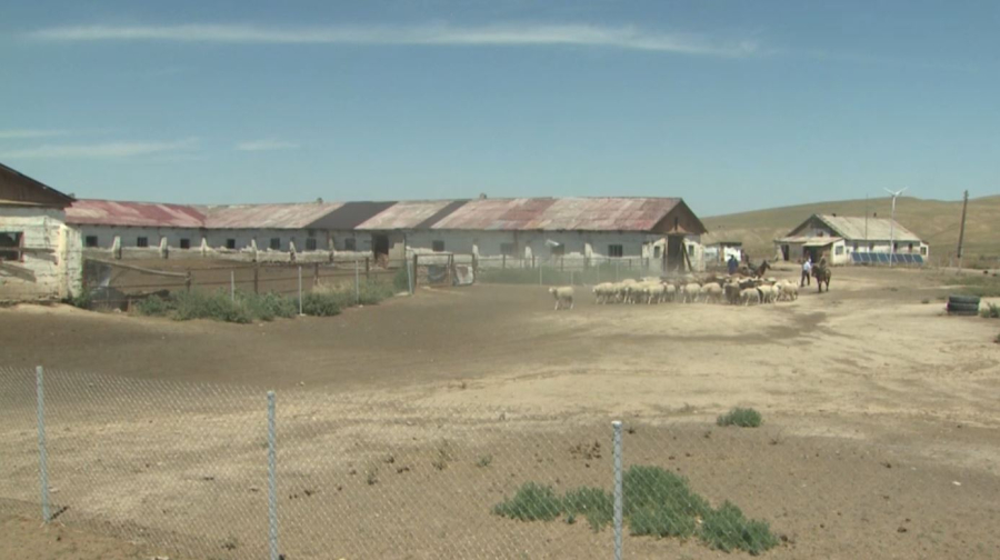 Шопандарға әлеуметтік төлем төленеді