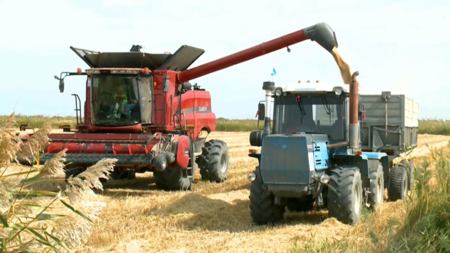 Ауыл шаруашылығы кәсіпорындарына жеңілдетілген несие беру басталды