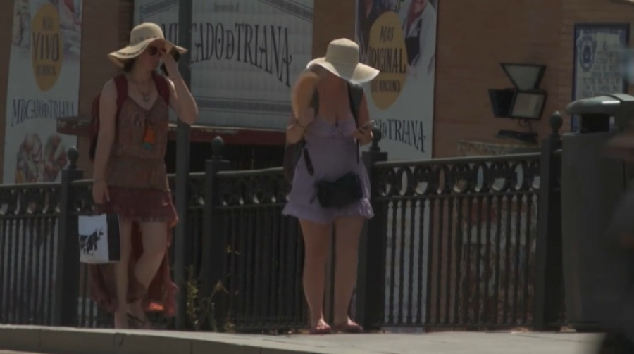 2300 человек скончались в Европе из-за сильной жары