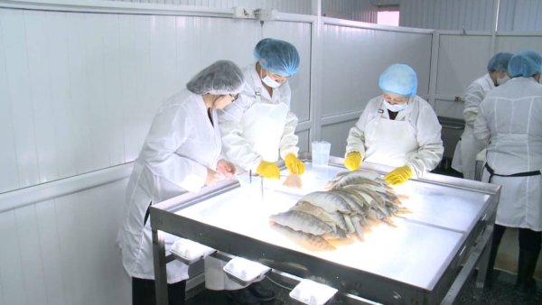 Атырауда 2 балық зауыты салынады