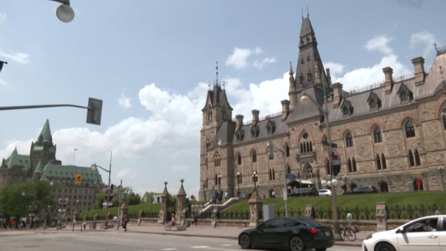 Әлем бойынша майнингке деген қызығушылық артып келеді