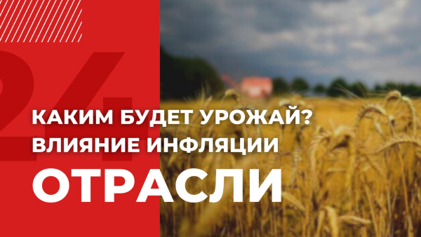 Хлеб подорожал на 19% за год | Отрасли