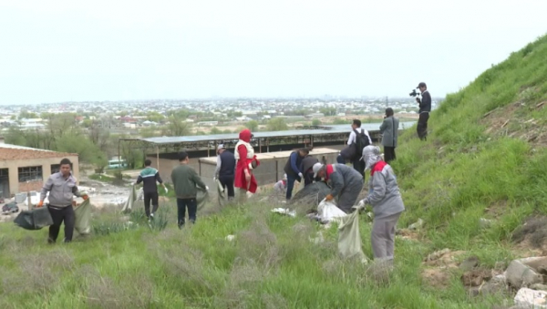 В Шымкенте на субботник вышли 22 тысячи горожан