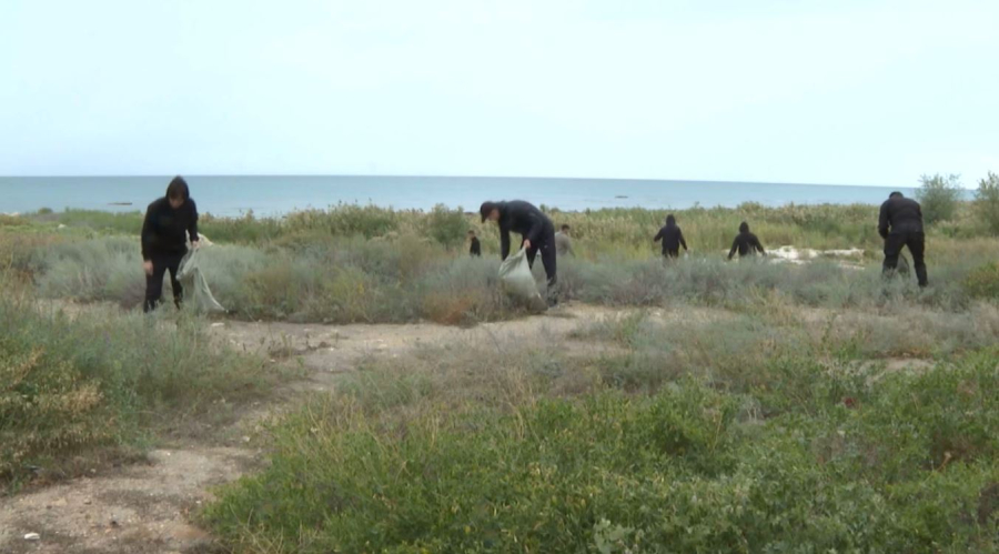Ақтауда полицейлер тазалыққа атсалысты
