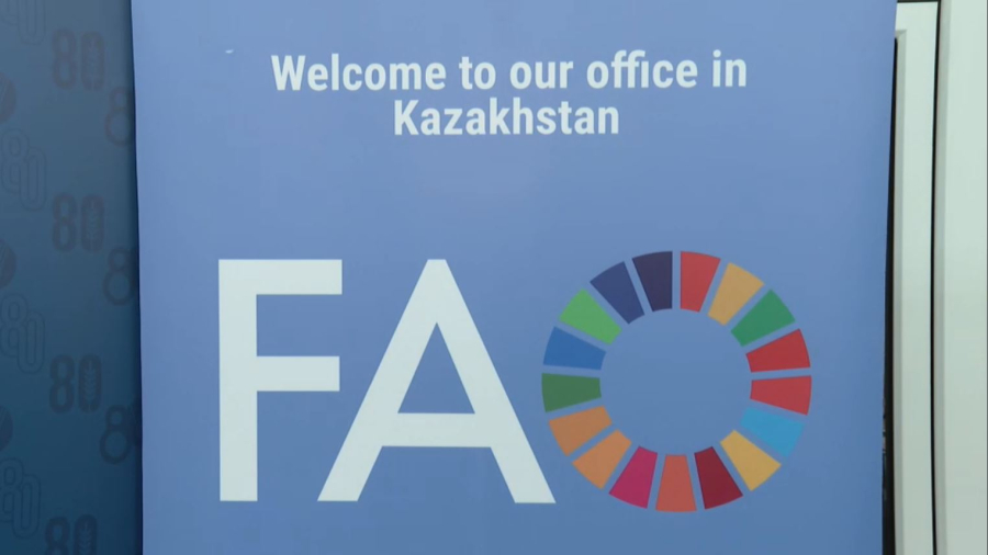 Ауыл шаруашылығы саласындағы әріптестік