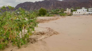Шесть человек погибли в результате наводнения в Омане