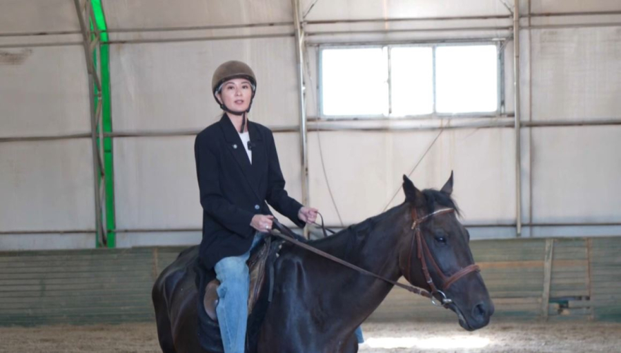 Түркияда 40 мыңдай ғана жылқы қалған