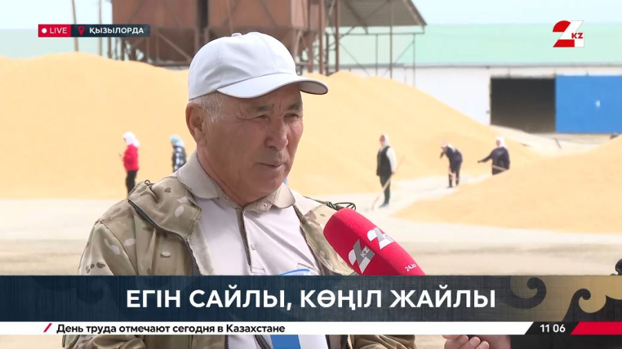 Биыл Қызылорда облысында 80 мың гектардан астам күріш егілді