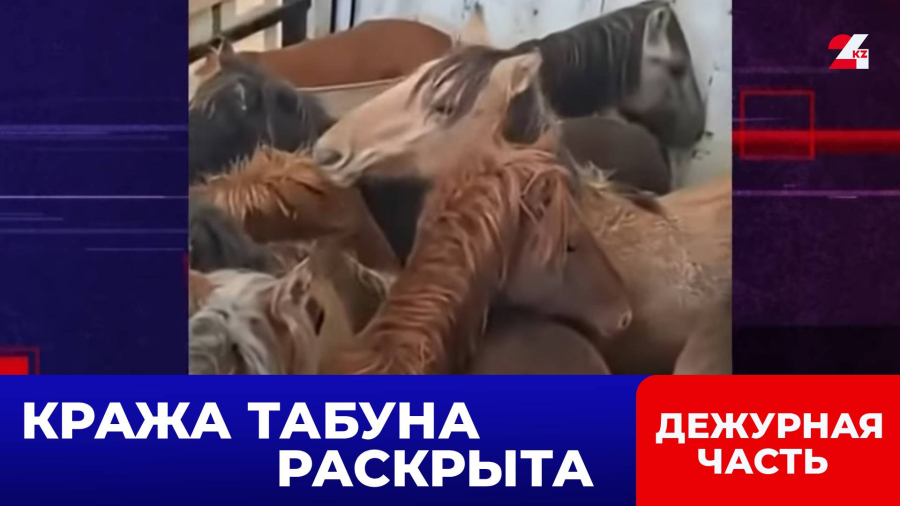 «Это честная покупка!» – скотокрад придумал легенду, но не учёл смекалку полицейских