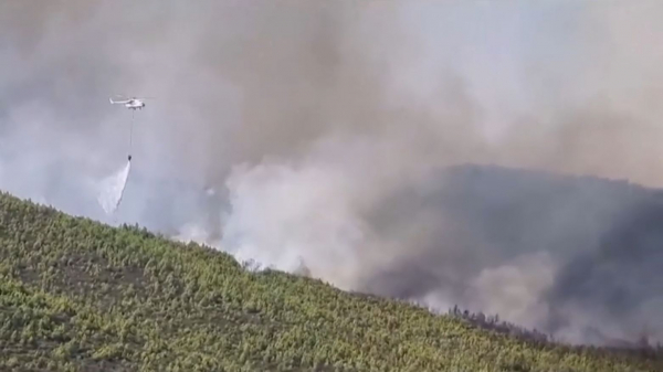 Түркияның үш провинциясында орман өртеніп жатыр