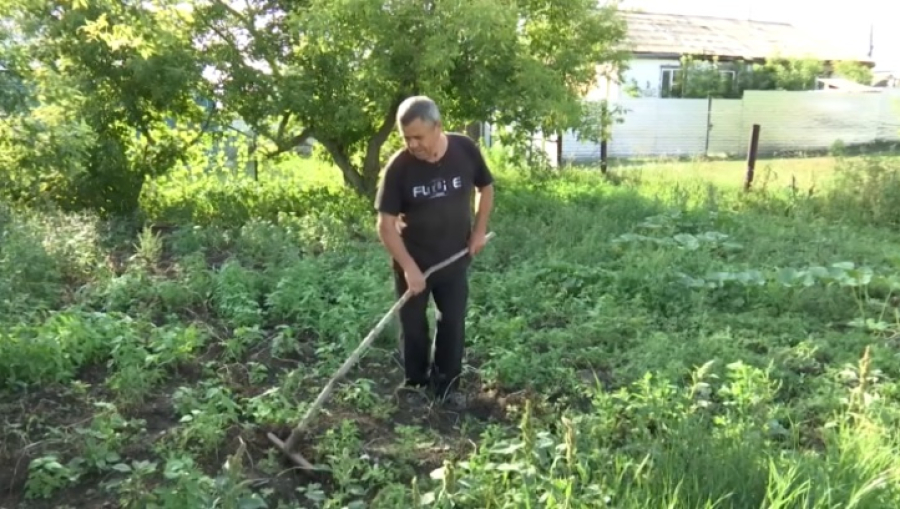 Сельчане отказываются от огородов из-за высокой стоимости воды
